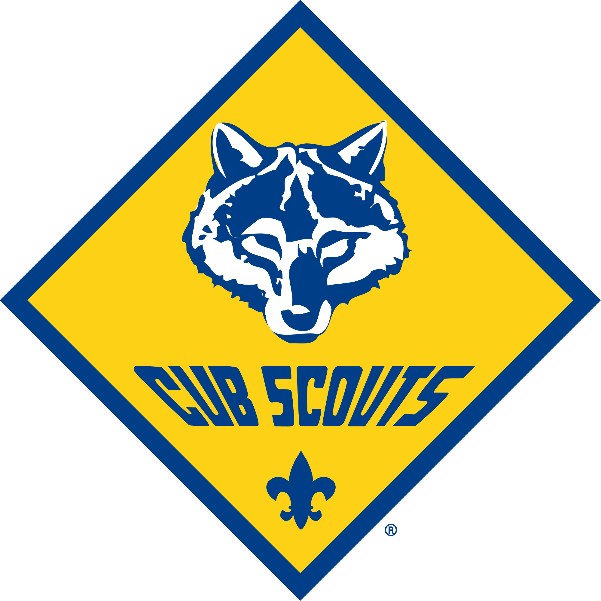 70s Cub Scouts 